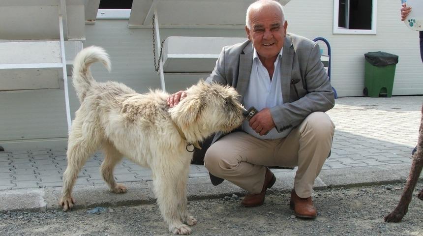 Başkan Kara&ccedil;elik, Dalyan barınağında incelemelerde bulundu