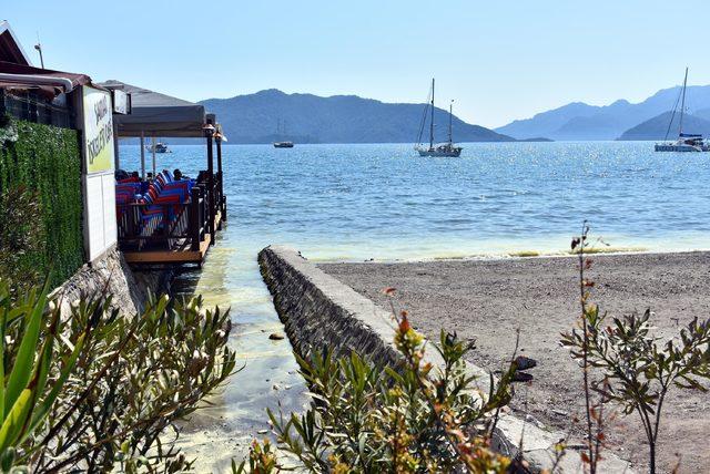 Marmaris'te denizin kıyısı sarıya boyadı