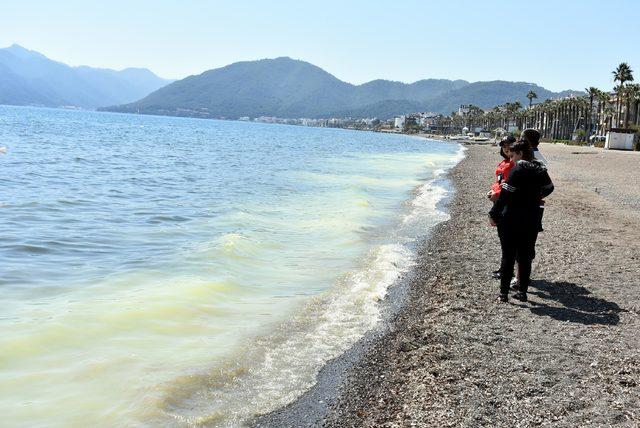 Marmaris'te denizin kıyısı sarıya boyadı