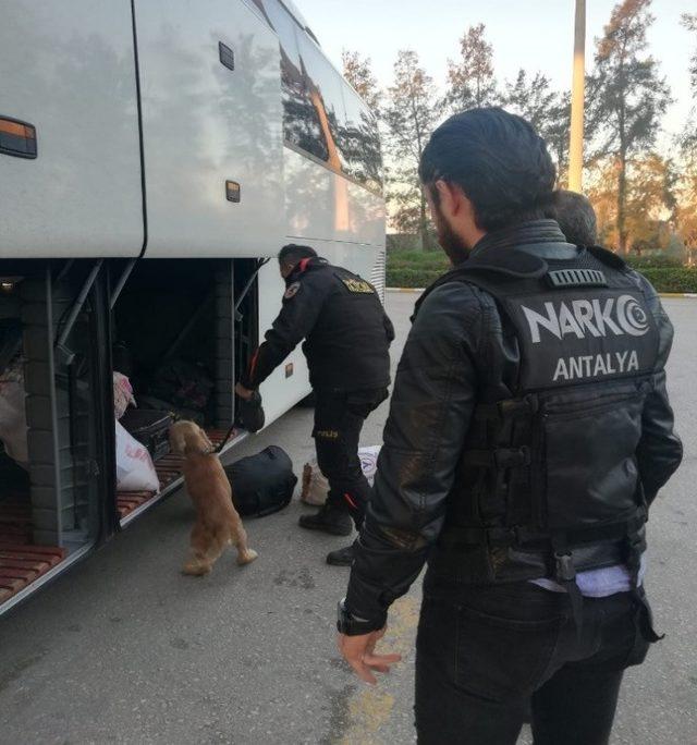 Şehirlerarası Otobüs Terminalinde Narkotik uygulaması