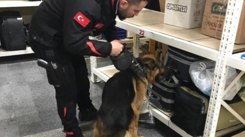 Şehirlerarası Otob&uuml;s Terminalinde Narkotik uygulaması