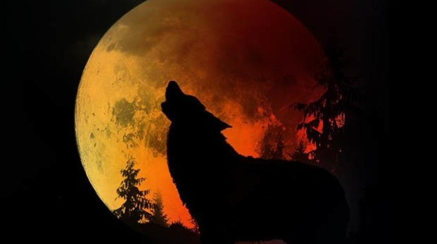 'Süper Kanlı Kurt Ay' tutulması dün gece gerçekleşti! İşte böyle görüntülendi