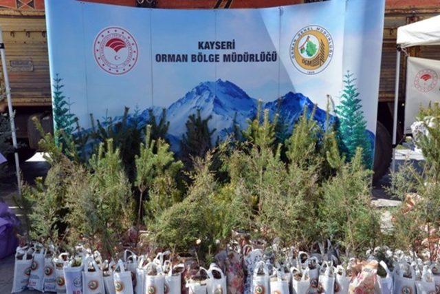 Kayseri Orman Bölge Müdürlüğü 10 Bin Fidan Dağıttı