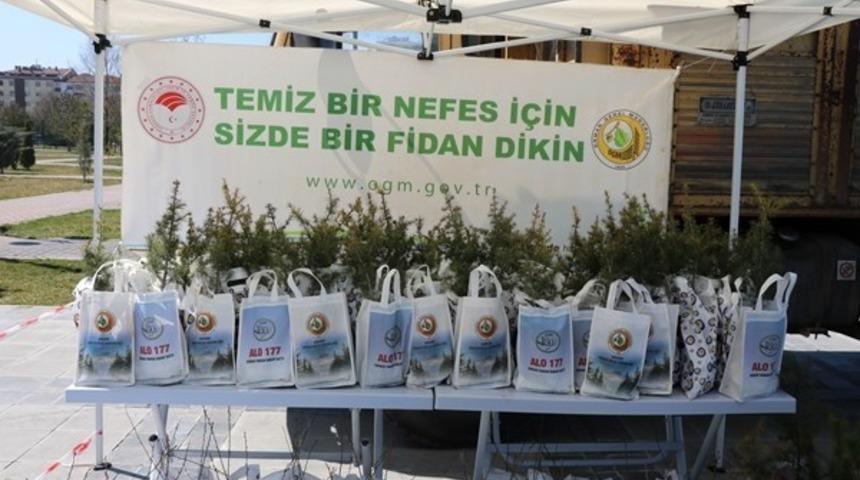Kayseri Orman B&ouml;lge M&uuml;d&uuml;rl&uuml;ğ&uuml; 10 Bin Fidan Dağıttı