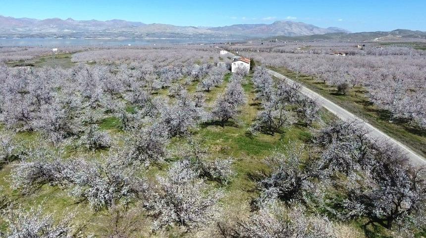 Malatya i&ccedil;in zirai don uyarısı