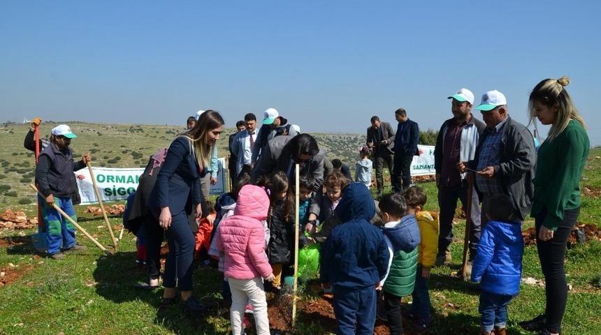Nizip&rsquo;te Adalet Ormanı oluşturuldu