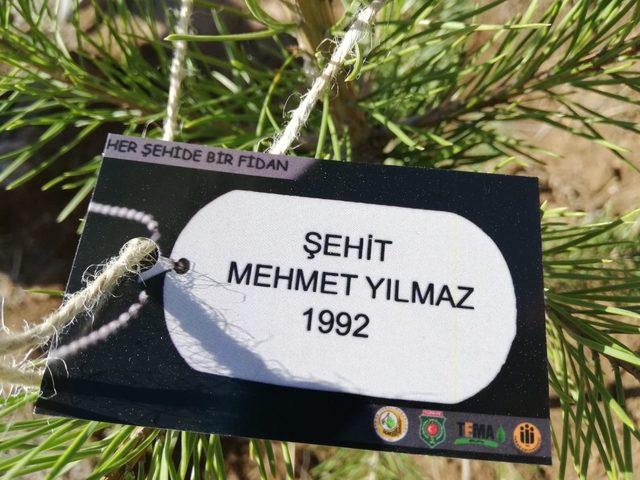 Öğrenciler şehitler için fidan dikti