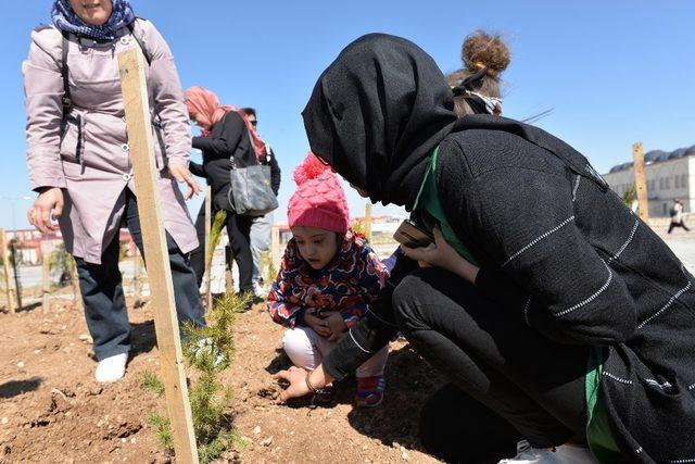 Down sendromlu öğrenciler fidan dikti