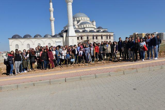 Down sendromlu öğrenciler fidan dikti