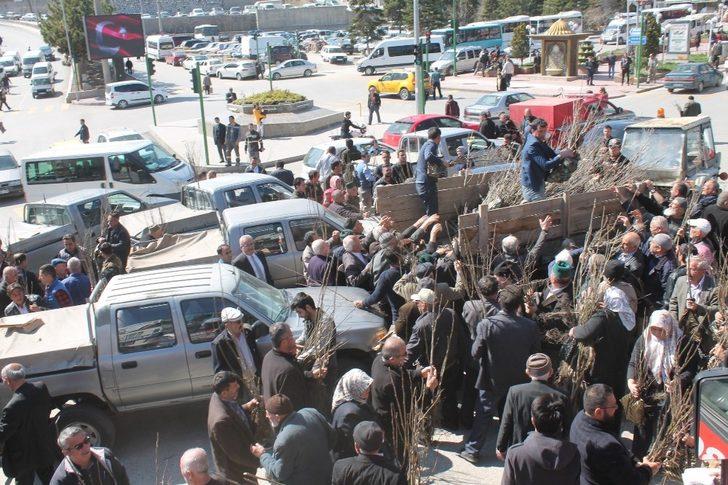 Tosya’da 6 bin adet fidan dağıtıldı G2