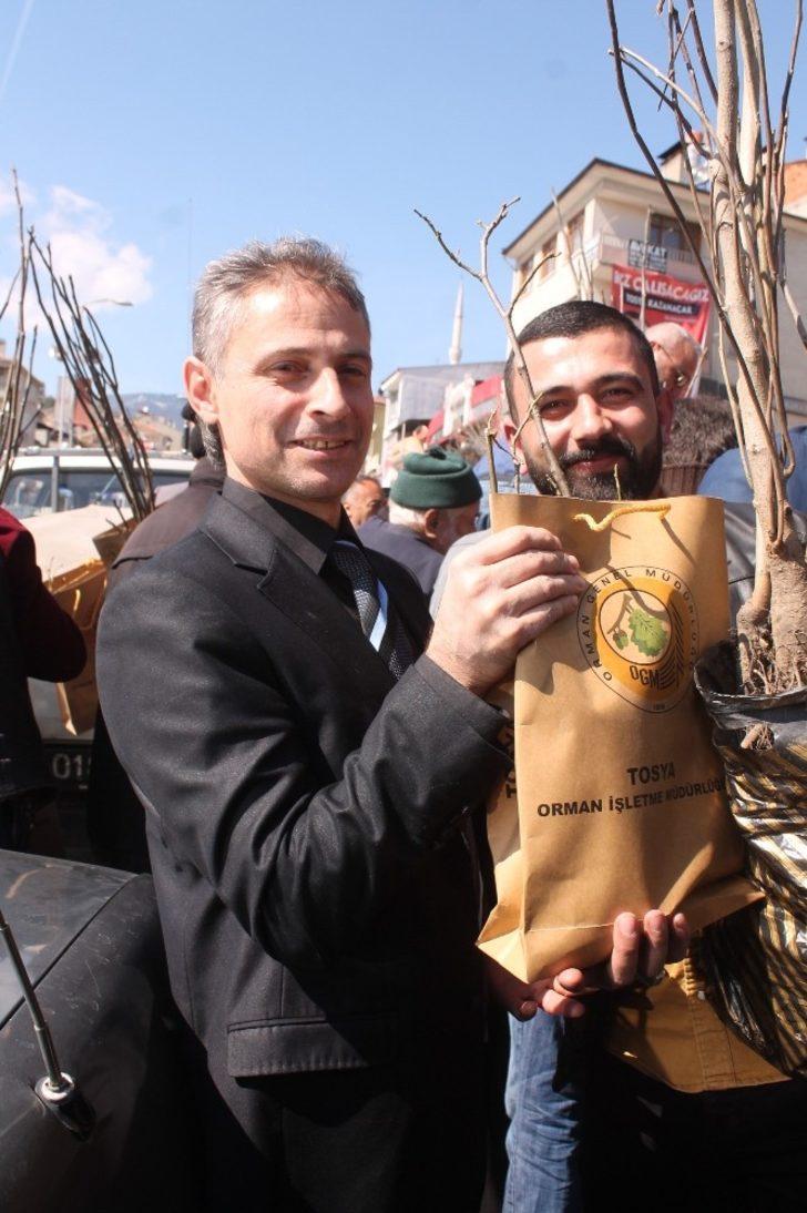 Tosya’da 6 bin adet fidan dağıtıldı G4