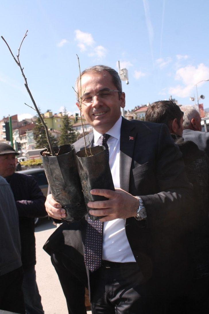 Tosya’da 6 bin adet fidan dağıtıldı G5