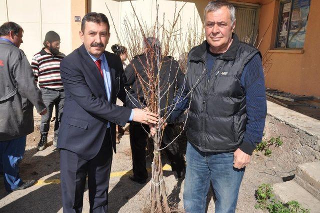 Gümüşhane’de çiftçilere meyve fidanı dağıtımı yapıldı