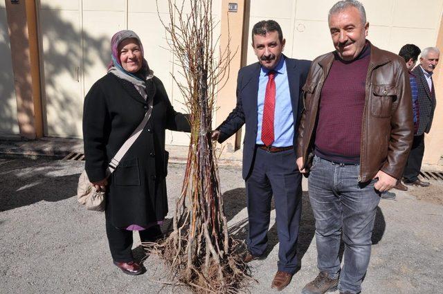 Gümüşhane’de çiftçilere meyve fidanı dağıtımı yapıldı