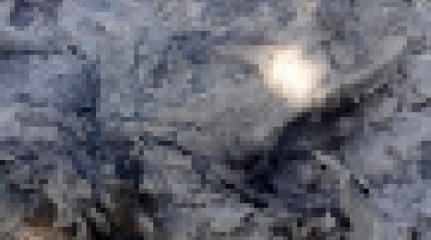 Adana’da 100 küçükbaş hayvan yanarak telef oldu