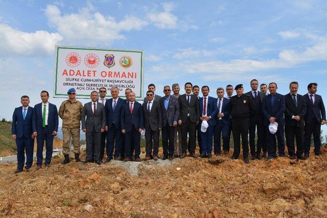 Silifke’de Adalet Ormanı oluşturuldu