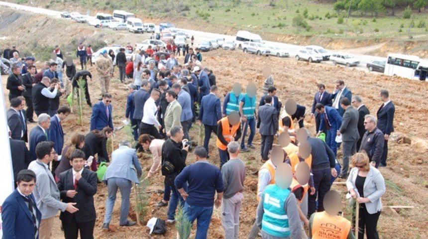 Silifke’de Adalet Ormanı oluşturuldu