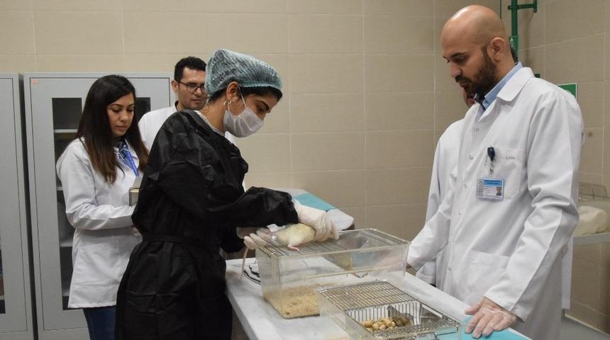 Deney hayvanları kullanım sertifikası kursu sona erdi