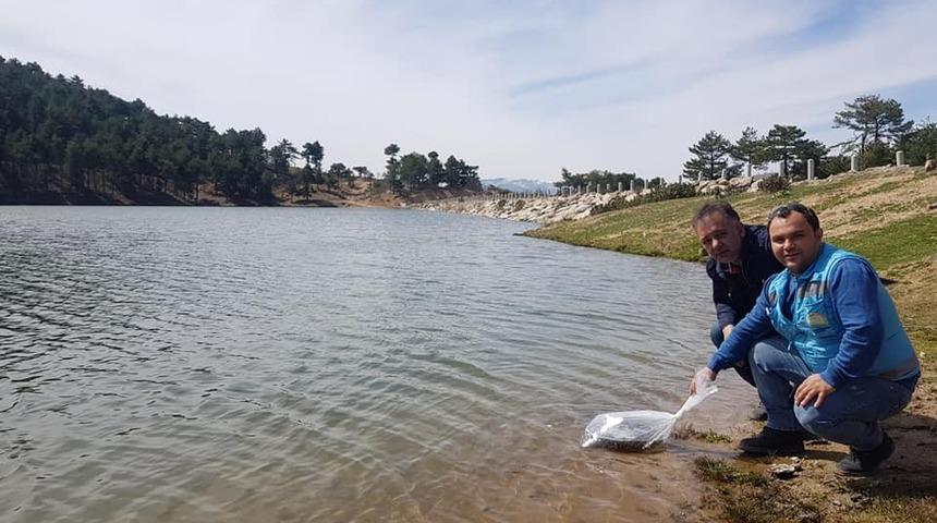 G&ouml;letlere 65 bin adet sazan balığı yavrusu bırakıldı