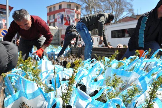 Simav’da vatandaşlara 2 bin 500 adet fidan dağıtıldı