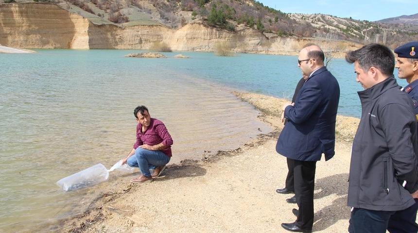 Göletlere 25 bin adet pullu sazan