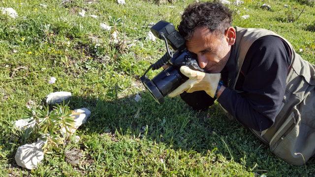 'Sürüngenlerin can dostu' profesör yaşamını yitirdi