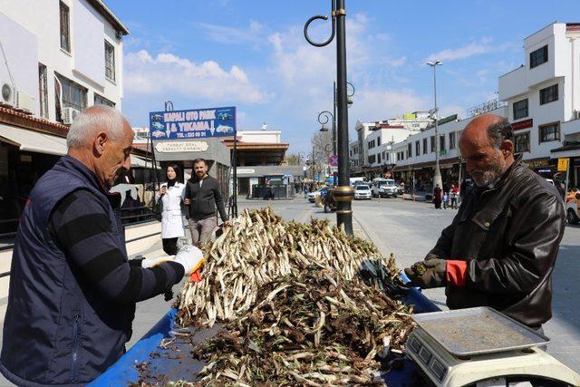 Kenger bitkisi tezgahlarda yerini aldı