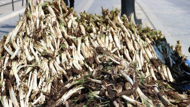 Kenger bitkisi tezgahlarda yerini aldı