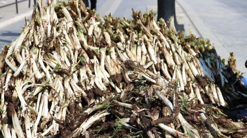 Kenger bitkisi tezgahlarda yerini aldı