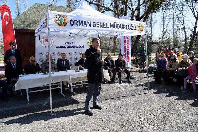 Orman çalışanlarından fidan dikim şöleni