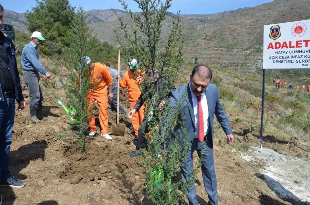 H&uuml;k&uuml;ml&uuml;ler Adalet Ormanı&rsquo;na fidan dikti