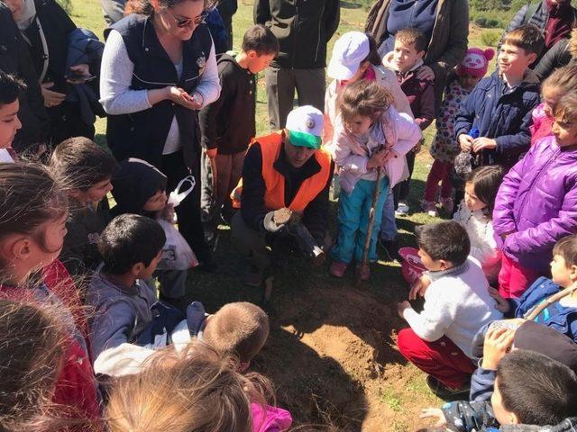 Edremitli öğrencilerden Kızılkeçili Hatıra Ormanı