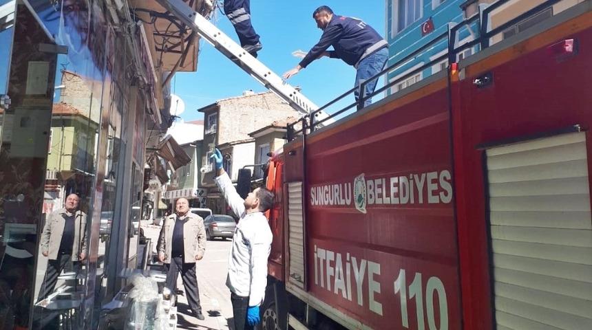 Sungurlu itfaiyesinden g&uuml;vercin kurtarma operasyonu