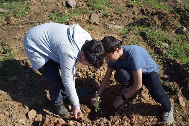 Kahramanmaraş’ta 5 bin fidan toprakla buluştu