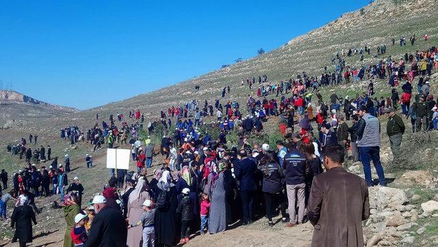 Malatya’da fidanlar toprakla buluştu