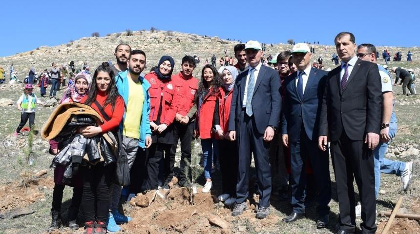 Malatya’da fidanlar toprakla buluştu