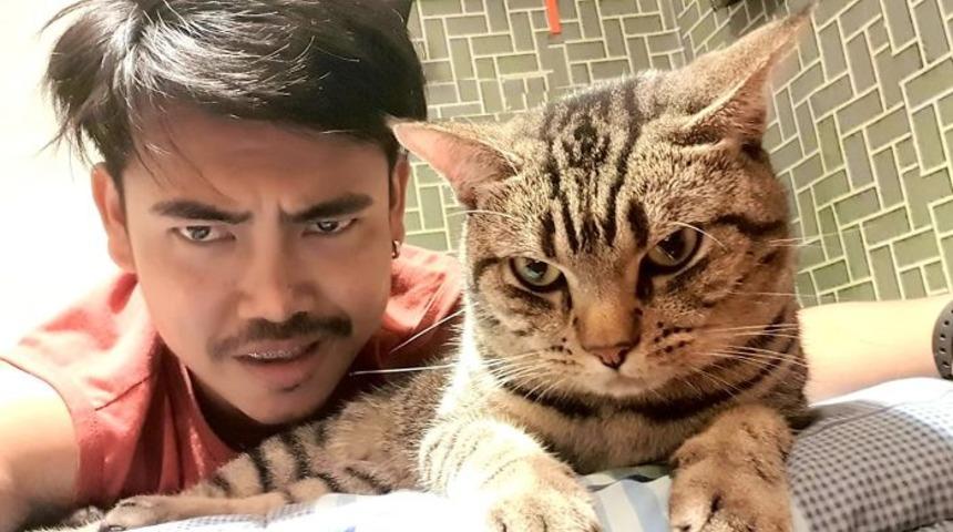 Kediler, ev arkadaşları uyuduğunda ne yapar?