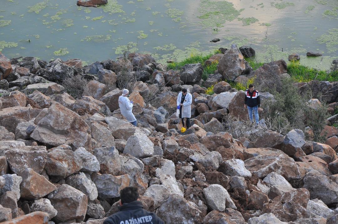 Fotoğraf &ccedil;ekmek i&ccedil;in indi, koku gelmeye başlayınca ger&ccedil;ek ortaya &ccedil;ıktı