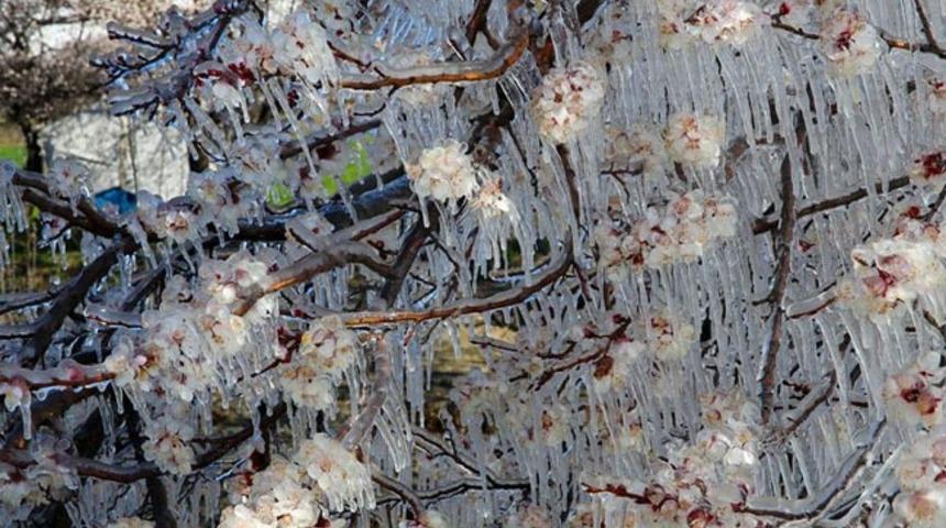 Meteoroloji'den son hava durumu tahmini uyarısı! (Yoğun kar geliyor, çiftçilere kritik uyarı)