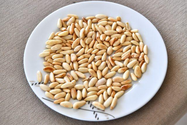 Fıstık çamının geleceğine imza 2