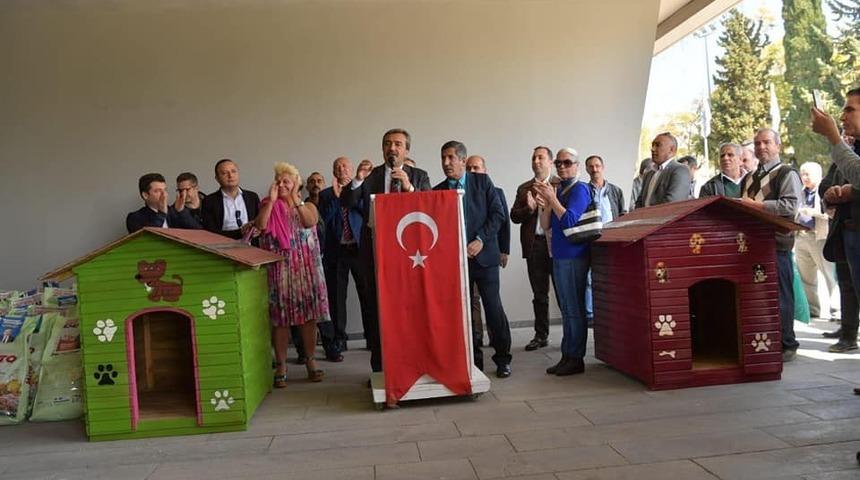 &Ccedil;ukurova&rsquo;ya Kedi Parkı