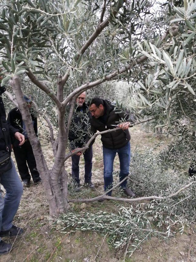 Gördes’te çiftçiler zararlı böcekler hakkında bilgilendirildi