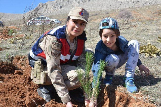 Elbistan’da şehitler ormanına 800 fidan dikildi