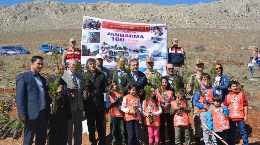 Elbistan’da şehitler ormanına 800 fidan dikildi