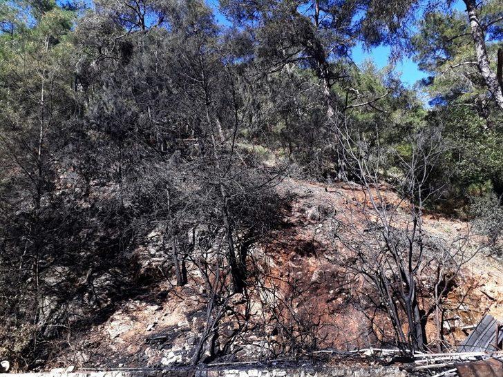 Fethiye’de orman yangını G4