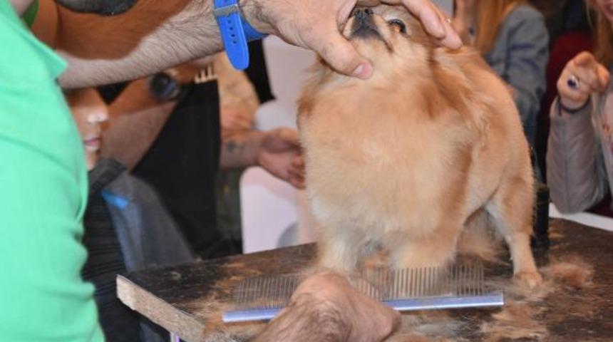 İzmir'de 'en tatlı' fuar! Akın ettiler