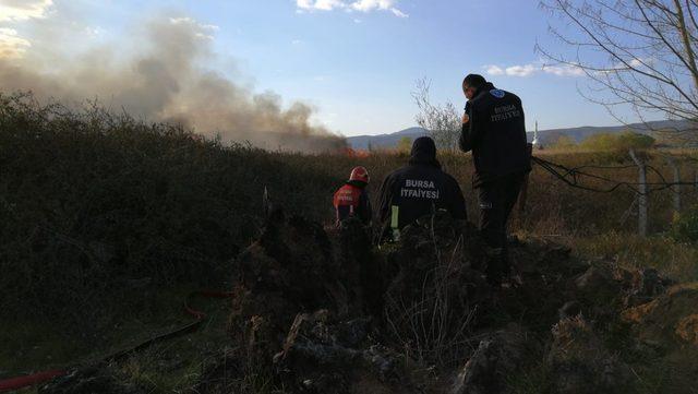 İznik Gölü kıyısında sazlık yangını