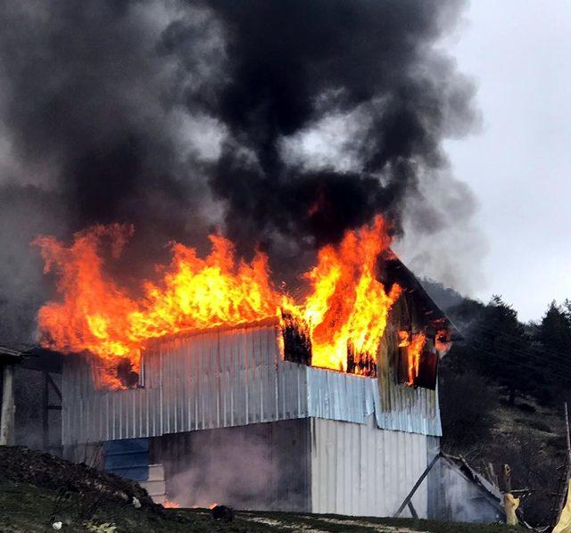 Mudurnu'da yayla evi alev alev yandı