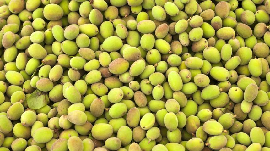 Yıl boyunca sadece 20 gün var! Faydaları ise ömürlük