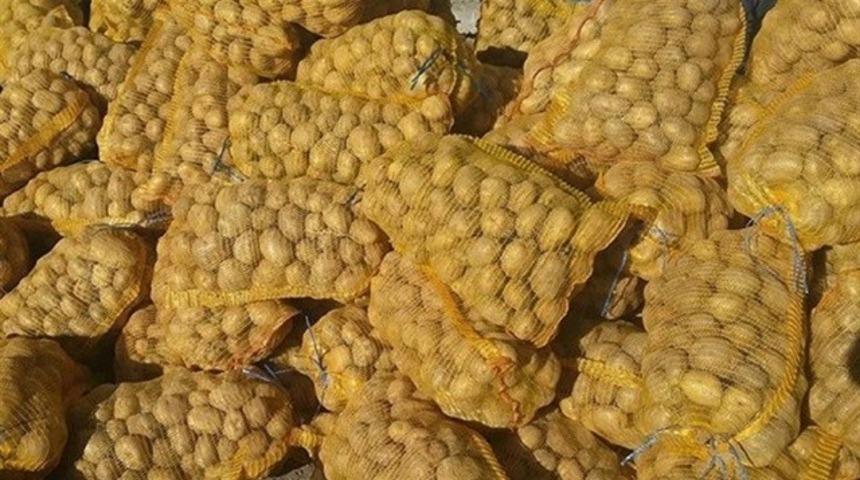 Başkan Memduh B&uuml;y&uuml;kkılı&ccedil;: "Pınarbaşı&rsquo;nın Sarı Patatesi Marka Olacak"